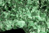 Silky Fibrous Malachite Crystal Cluster - Congo #45341-2